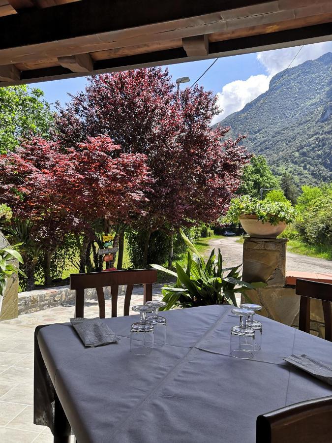 Bed and Breakfast Il Ruscello à San Severino Extérieur photo